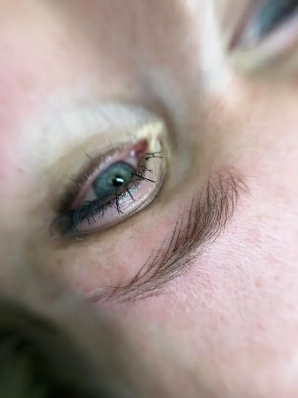 Hairstroke LaBrows